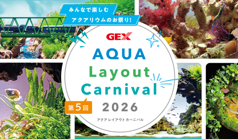 GEX アクア レイアウトカーニバル 2026